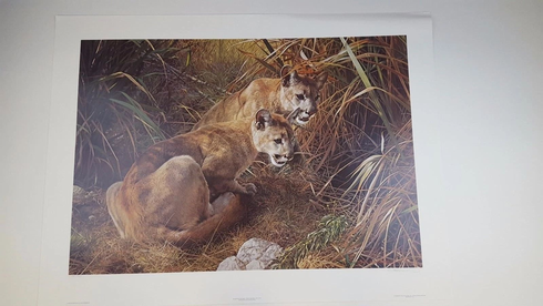 Carl Brenders Signed and Numbered Limited Edition  Lithograph: "Shadows In The Grass"