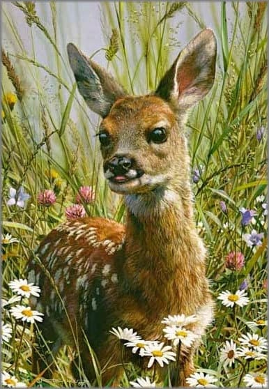 Carl Brenders Signed and Numbered Limited Edition Lithograph: "Spring Fawn"