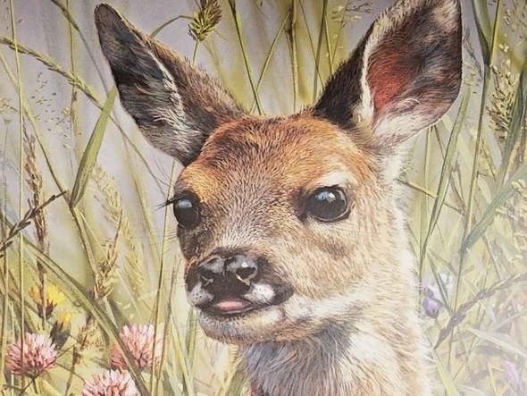Carl Brenders Signed and Numbered Limited Edition Lithograph: "Spring Fawn"