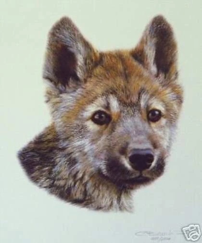 Carl Brenders Signed and Numbered Limited Edition Lithograph: "Wolf Scout 2" Carl Brenders Signed and Numbered Limited Edition Lithograph: "Wolf Scout 2"
