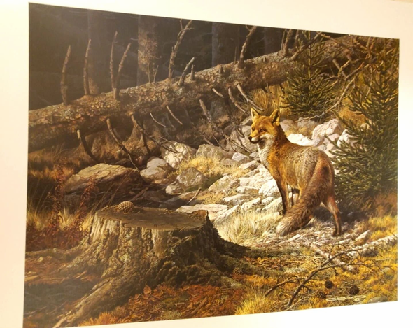 Carl Brenders Signed and Numbers Limited Edition Lithograph: "Alert Red Fox"