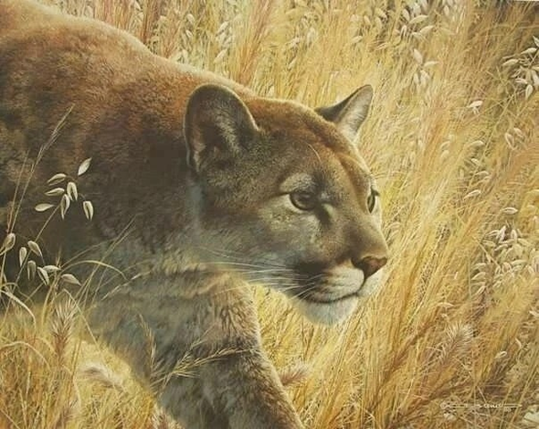Carl Brenders Signed and Numbers Limited Edition  Publishers Proof Lithograph: "Predator's Walk"