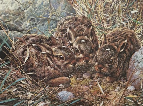Carl Brenders Signed by the Artist Limited Edition Paper Lithograph:"Small Talk"