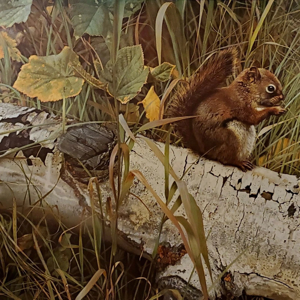 Carl Brenders Signed Limited Edition Offset Lithograph: "Foragers Reward"