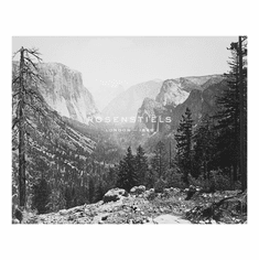 Gallerydirectart