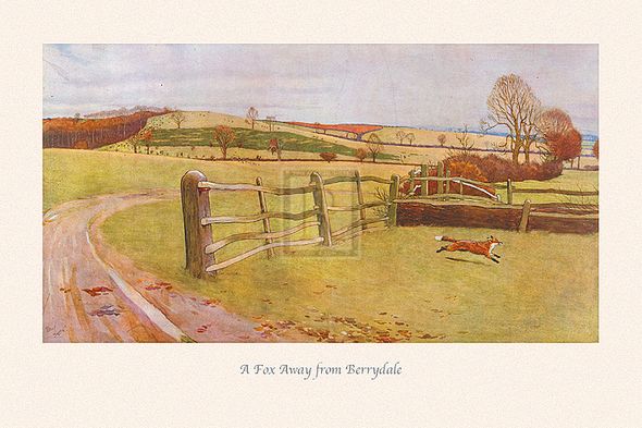 Cecil Aldin Hand Numbered Limited Edition Print on Paper :"A Fox Away from Berrydale"
