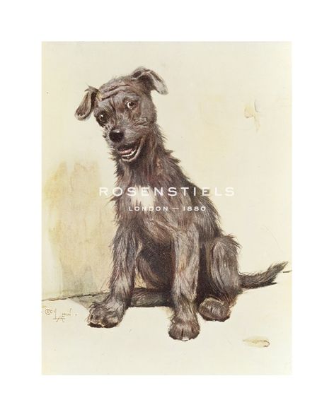 Cecil Aldin Hand Numbered Limited Edition Print on Paper :"A Thoroughbred Mongrel"