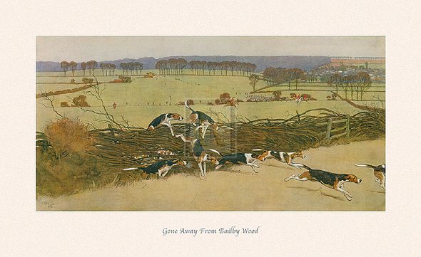 Cecil Aldin Hand Numbered Limited Edition Print on Paper :"Gone Away from Bailby Wood"