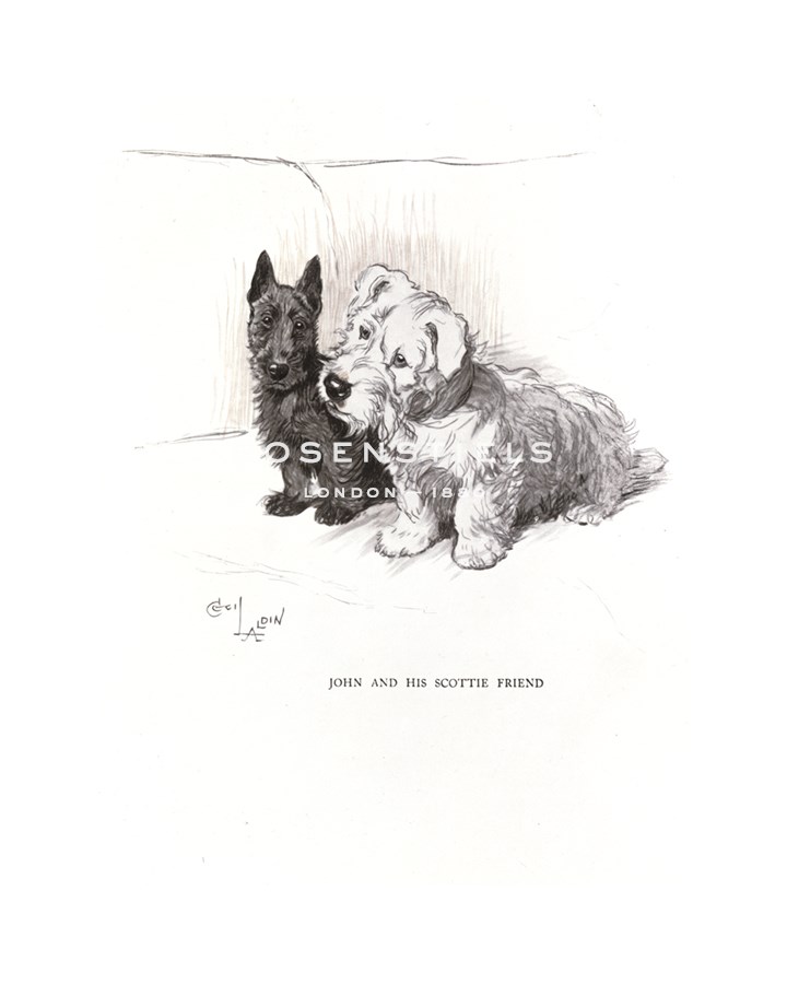 Cecil Aldin Hand Numbered Limited Edition Print on Paper :"John and his Scottie Friend"