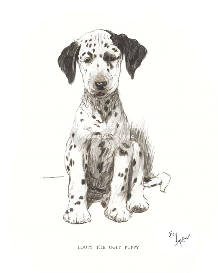 Cecil Aldin Hand Numbered Limited Edition Print on Paper :"Loopy, the Ugly Puppy"