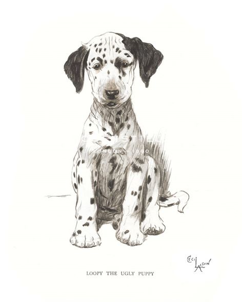 Cecil Aldin Hand Numbered Limited Edition Print on Paper :"Loopy, the Ugly Puppy"
