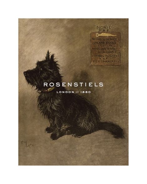 Cecil Aldin Hand Numbered Limited Edition Print on Paper :"Nonnie"