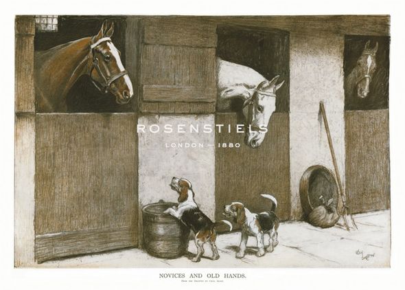 Cecil Aldin Hand Numbered Limited Edition Print on Paper :"Novices and Old Hands"