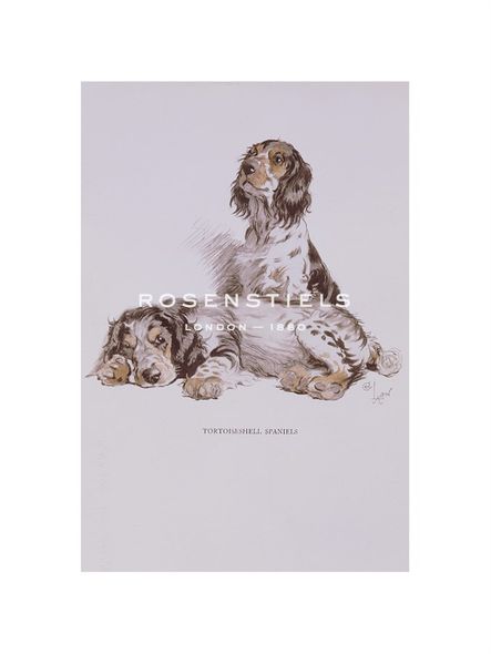 Cecil Aldin Hand Numbered Limited Edition Print on Paper :"Spaniels"