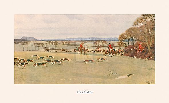 Cecil Aldin Hand Numbered Limited Edition Print on Paper :"The Cheshire"