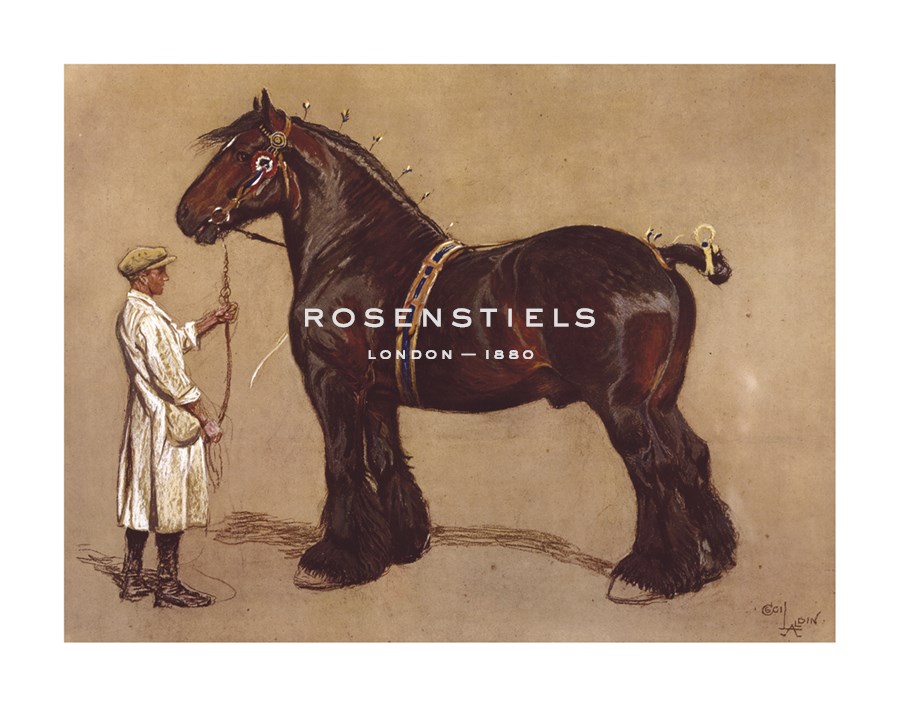 Cecil Aldin Hand Numbered Limited Edition Print on Paper :"The Shire Horse"