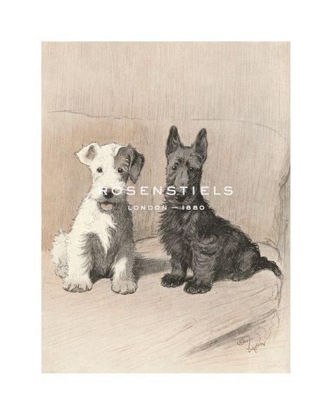 Cecil Aldin Hand Numbered Limited Edition Print on Paper :"The Two Scamps"