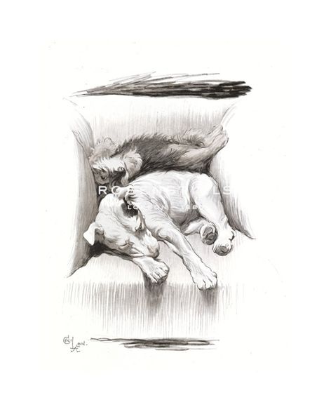 Cecil Aldin Hand Numbered Limited Edition Print on Paper :"Two's Company"