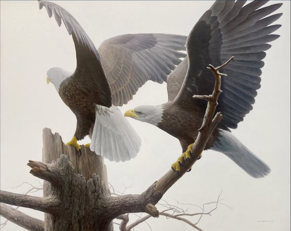 Robert Bateman Artist Signed Limited Edition Canvas Giclee:" Landings - Bald Eagle"