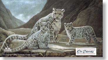CHARLES FRACE’ 16X30 Secondary Market Art: “KINSHIP SNOW LEOPARD