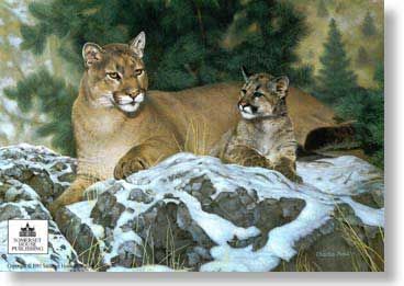 CHARLES FRACE' 18X25 Secondary Market Art: "FAMILY TIES COUGARS"