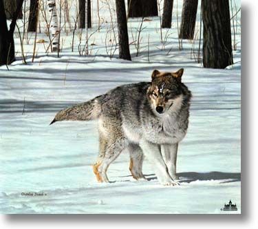 CHARLES FRACE' 25X26 Secondary Market Art: "ON WATCH"