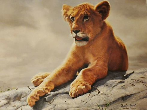 Charles Frace Limited Edition Lithograph Print: "Lion Cub"