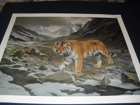 Charles Frace Limited Edition  Lithograph: "Siberian Tiger"