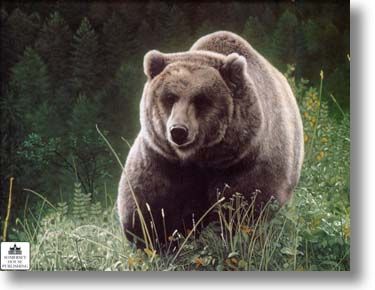 CHARLES FRACE'  Secondary Market Art: "UNRIVALED GRIZZLY CNV"