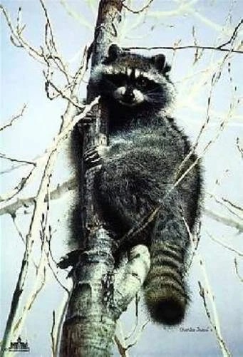 Charles Frace Signed and Numbered Limited Edition AP Lithograph: "Bandit"