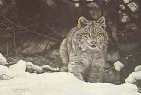 Charles Frace Signed and Numbered Limited Edition AP Lithograph: "The Chase - Lynx" Charles Frace Signed and Numbered Limited Edition AP Lithograph: "The Chase - Lynx"