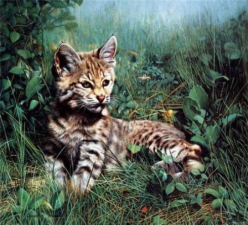 Charles Frace Signed and Numbered Limited Edition Lithograph: "Nature's Dawn" Charles Frace Signed and Numbered Limited Edition Lithograph: "Nature's Dawn"