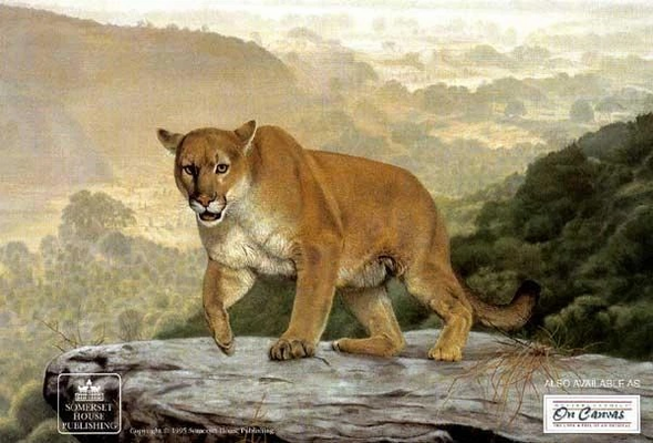 Charles Frace Signed and Numbered Limited Edition  Lithograph: "Shasta"