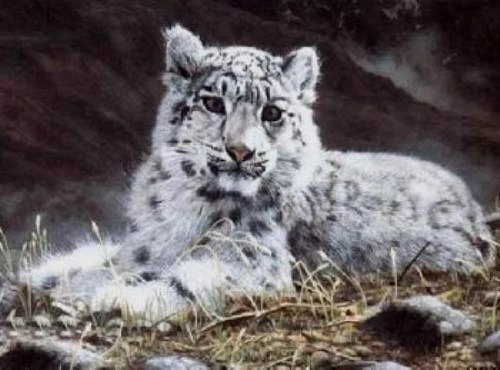 Charles Frace Signed and Numbered Limited Edition Lithograph: "Spiritual Heir"