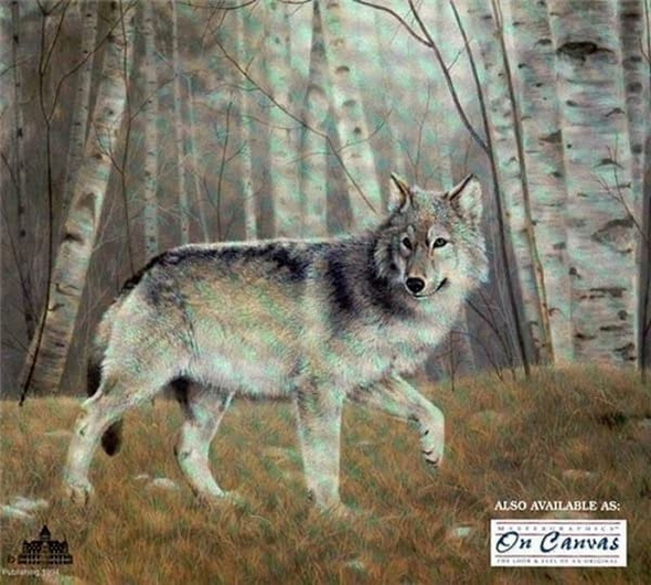 Charles Frace Signed and Numbered Limited Edition Lithograph: "Watchful"