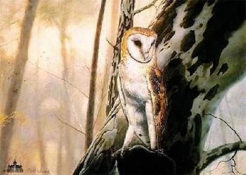 Charles Frace Signed Limited Edition AP Lithograph: "Barn Owl" Charles Frace Signed Limited Edition AP Lithograph: "Barn Owl"