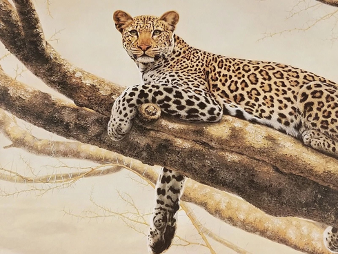 Charles Frace Signed Limited Edition  Lithograph Print: "African Leopard"