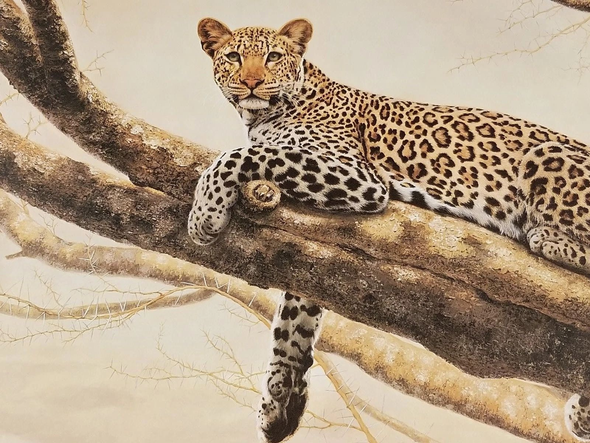 Charles Frace Signed Limited Edition  Lithograph Print: "African Leopard"