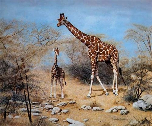 Charles Frace Signed Limited Edition Lithograph: "Quiet Time In Samburu" Charles Frace Signed Limited Edition Lithograph: "Quiet Time In Samburu"