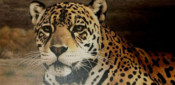 Charles Frace Signed Limited Edition Offset Lithograph: "First Light Jaguar"