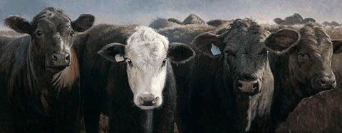 Charles Freitag Print-Signed:"Here's the Beef Angus Cattle Art Print"