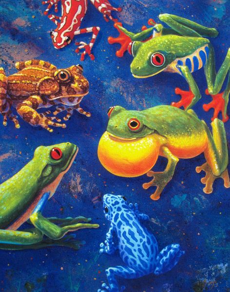 Charles Lynn Bragg Hand Signed Limited Edition Giclee:"6 Frogs"