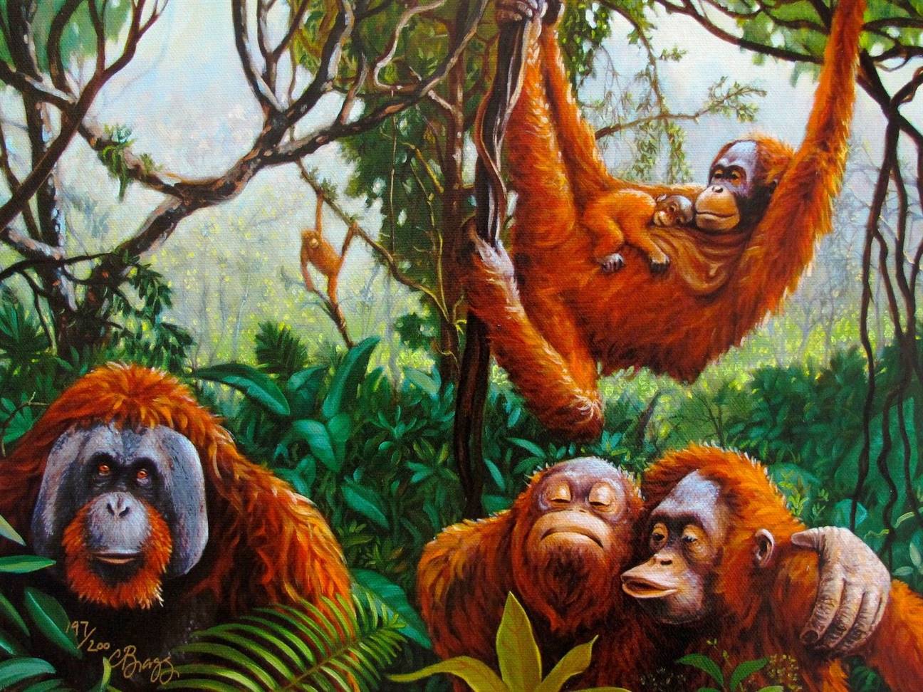 Charles Lynn Bragg Hand Signed Limited Edition Giclee:"Orangutans"