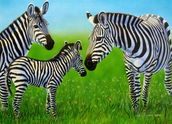 Charles Lynn Bragg Hand Signed Limited Edition Giclee:"Zebra Family"