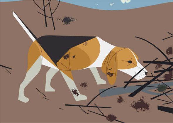 Charley Harper Estate Stamped and Numbered Limited Edition Giclee Print :"Beagle"