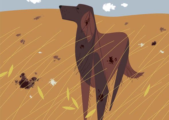 Charley Harper Estate Stamped and Numbered Limited Edition Giclee Print :"Setter"