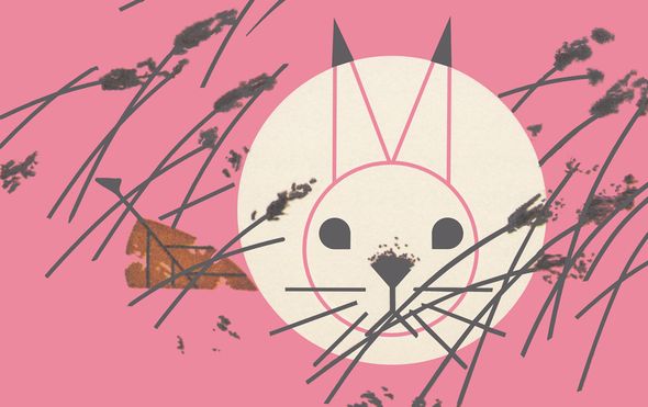 Charley Harper Limited Edition Giclee on Paper:"Honey Bunny"