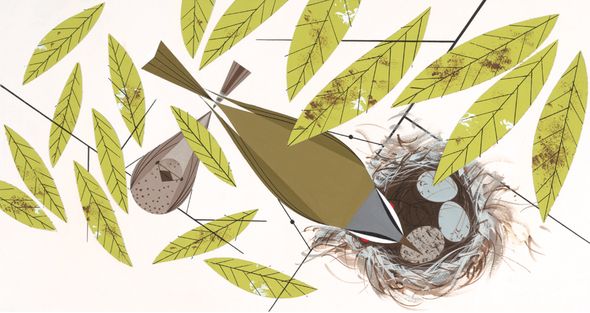 Charley Harper Open Edition Giclee on Paper:"Vigilant Vireos"