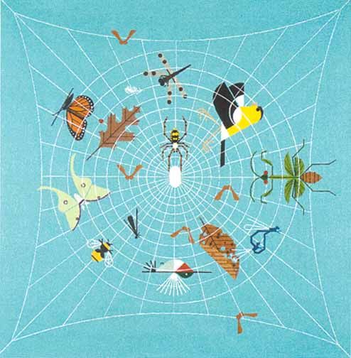 Charley Harper Open Edition Lithograph :"Visit My Web Site"