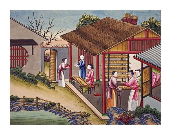 Chinese School Fine Art Open Edition Gicl&eacute;e:"Silk Cocoons"